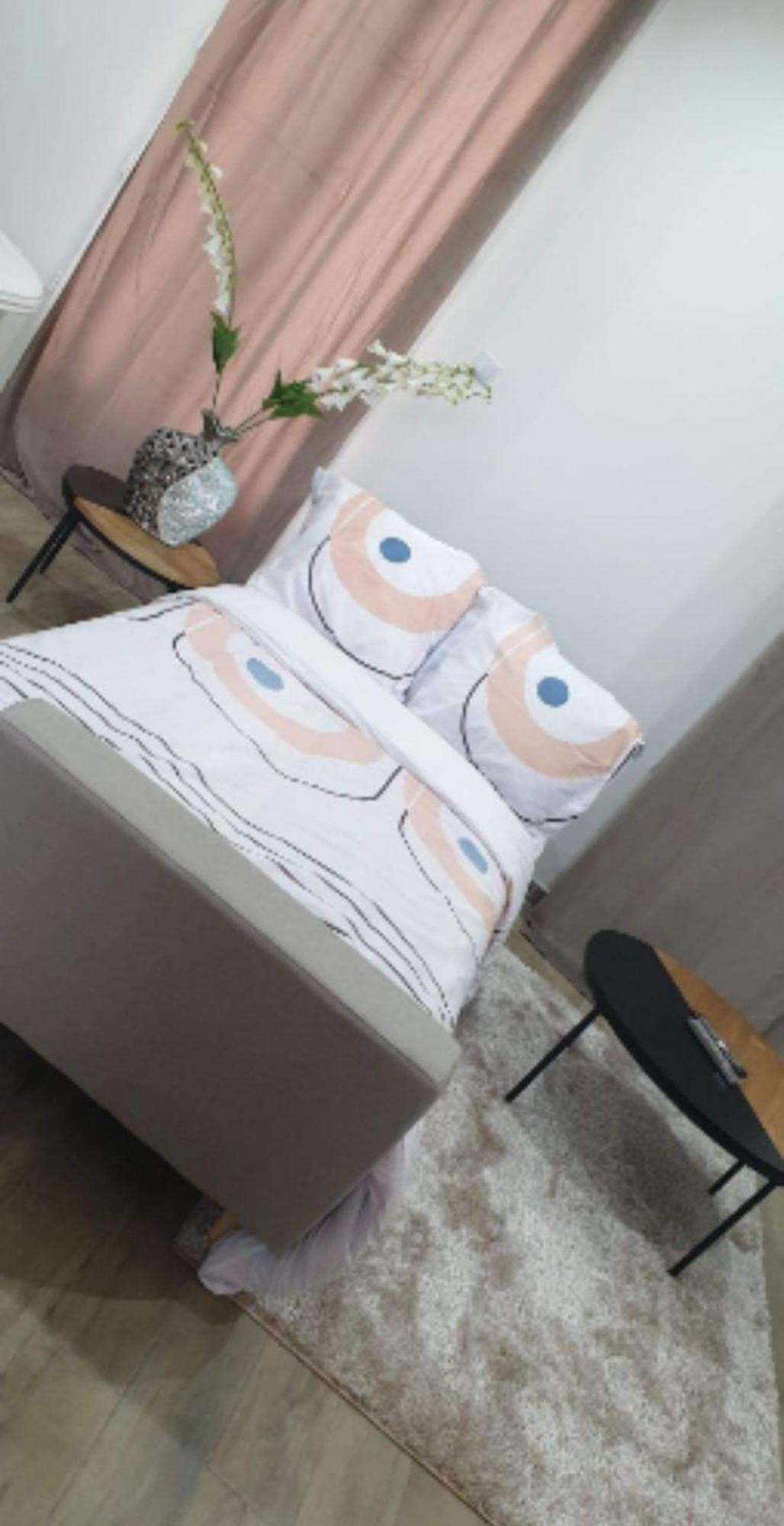 Les Suite Appartement A Chalon Sur Saone 部屋 写真